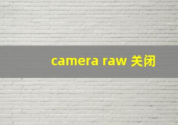 camera raw 关闭